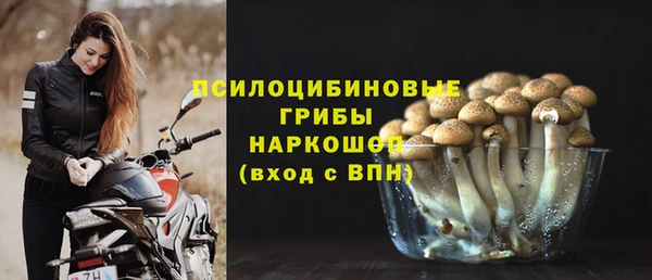 круглые Белокуриха