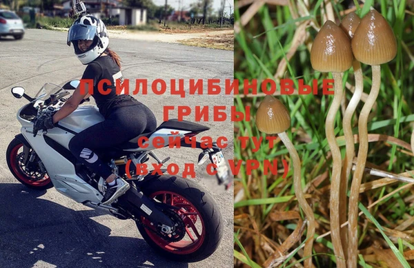 бошки Беломорск