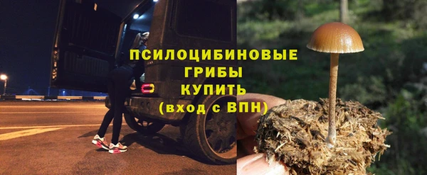бошки Беломорск