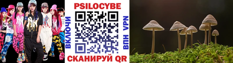 где можно купить   гидра ONION  Псилоцибиновые грибы ЛСД  Козьмодемьянск 