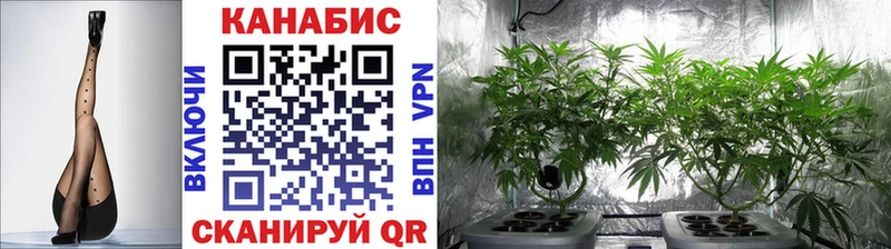 дарнет шоп  Козьмодемьянск  блэк спрут ССЫЛКА  Бошки Шишки планчик 